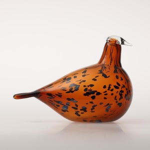 Birds Pekkasiini コッパーブラウン 0103