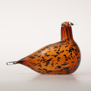 Birds Pekkasiini コッパーブラウン 0104