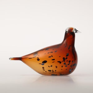 Birds Pekkasiini コッパーブラウン 0105