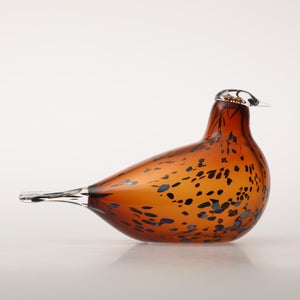 Birds Pekkasiini コッパーブラウン 0106