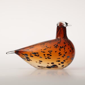 Birds Pekkasiini コッパーブラウン 0107