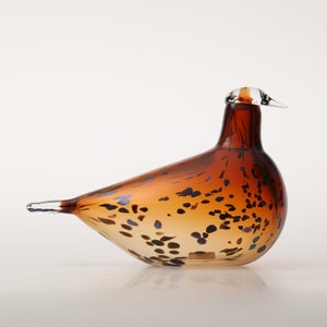 Birds Pekkasiini コッパーブラウン 0108