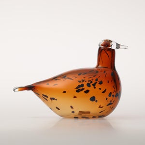 Birds Pekkasiini コッパーブラウン 0109