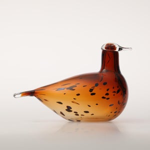 Birds Pekkasiini コッパーブラウン 0110