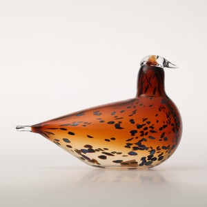 Birds Pekkasiini コッパーブラウン 0111