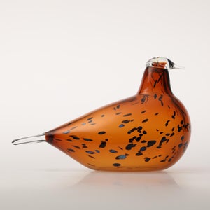 Birds Pekkasiini コッパーブラウン 0112