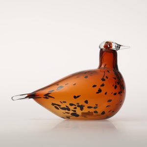 Birds Pekkasiini コッパーブラウン 0113