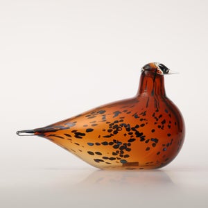 Birds Pekkasiini コッパーブラウン 0114