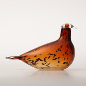 Birds Pekkasiini コッパーブラウン 0115