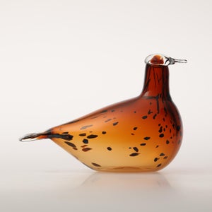 Birds Pekkasiini コッパーブラウン 0116