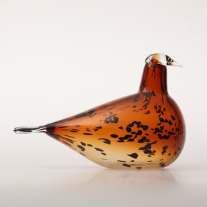 Birds Pekkasiini コッパーブラウン 0117