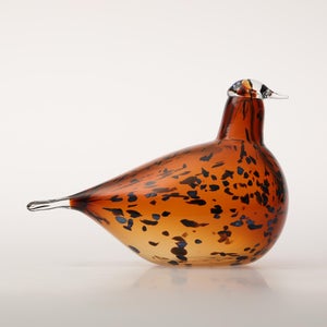 Birds Pekkasiini コッパーブラウン 0118