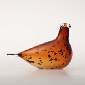 Birds Pekkasiini コッパーブラウン 0119