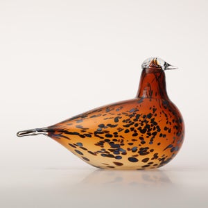 Birds Pekkasiini コッパーブラウン 0120