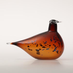 Birds Pekkasiini コッパーブラウン 0121