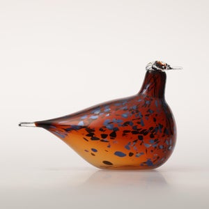 Birds Pekkasiini コッパーブラウン 0122