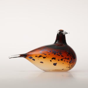 Birds Pekkasiini コッパーブラウン 0123