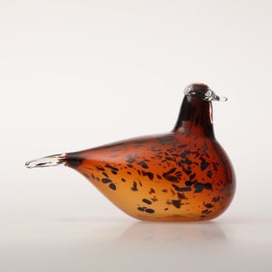 Birds Pekkasiini コッパーブラウン 0124