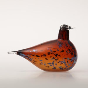 Birds Pekkasiini コッパーブラウン 0125