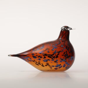 Birds Pekkasiini コッパーブラウン 0126