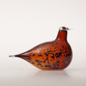 Birds Pekkasiini コッパーブラウン 0127