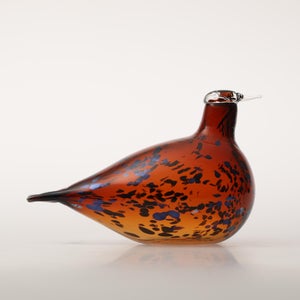 Birds Pekkasiini コッパーブラウン 0128