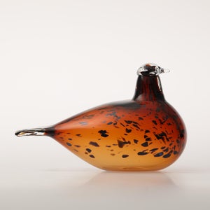 Birds Pekkasiini コッパーブラウン 0129