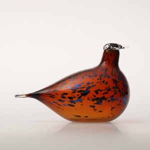 Birds Pekkasiini コッパーブラウン 0130