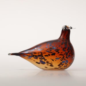 Birds Pekkasiini コッパーブラウン 0131