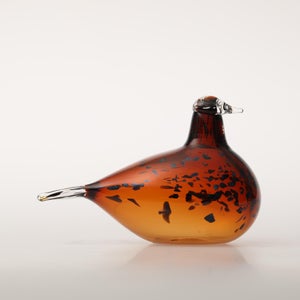 Birds Pekkasiini コッパーブラウン 0132