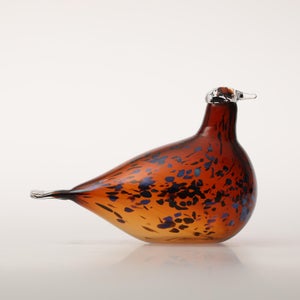 Birds Pekkasiini コッパーブラウン 0133