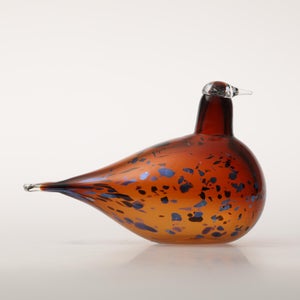 Birds Pekkasiini コッパーブラウン 0134