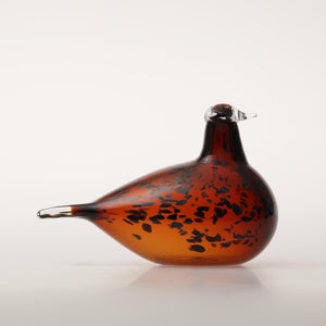 Birds Pekkasiini コッパーブラウン 0135