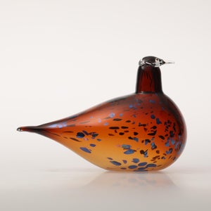 Birds Pekkasiini コッパーブラウン 0136