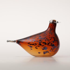 Birds Pekkasiini コッパーブラウン 0137