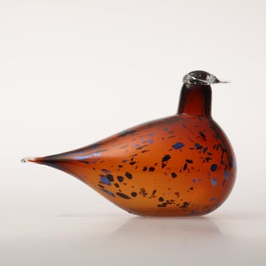 Birds Pekkasiini コッパーブラウン 0138