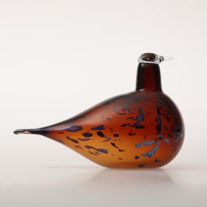 Birds Pekkasiini コッパーブラウン 0139