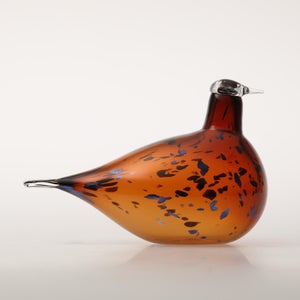 Birds Pekkasiini コッパーブラウン 0140