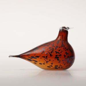 Birds Pekkasiini コッパーブラウン 0141