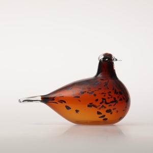 Birds Pekkasiini コッパーブラウン 0142