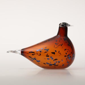 Birds Pekkasiini コッパーブラウン 0143