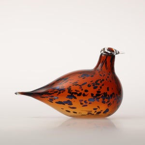 Birds Pekkasiini コッパーブラウン 0144