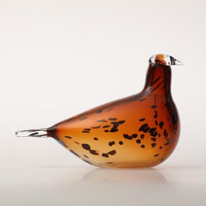 Birds Pekkasiini コッパーブラウン 0145