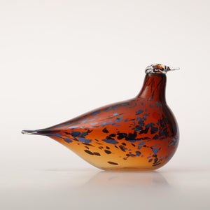 Birds Pekkasiini コッパーブラウン 0146