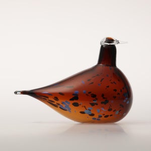 Birds Pekkasiini コッパーブラウン 0147