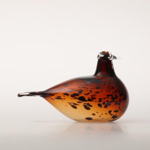 Birds Pekkasiini コッパーブラウン 0148