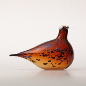 Birds Pekkasiini コッパーブラウン 0150