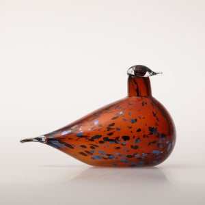 Birds Pekkasiini コッパーブラウン 0151