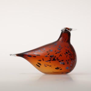 Birds Pekkasiini コッパーブラウン 0152