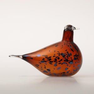 Birds Pekkasiini コッパーブラウン 0153